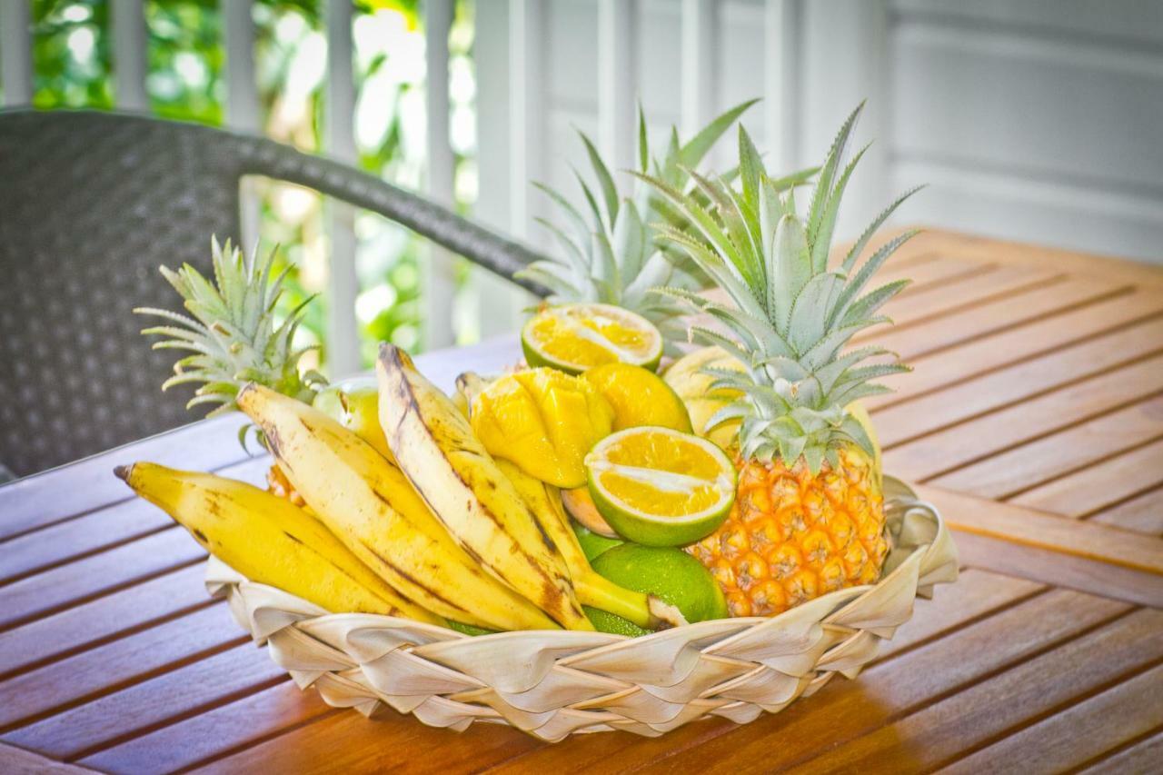 Lodge Coco Deshaies Ngoại thất bức ảnh